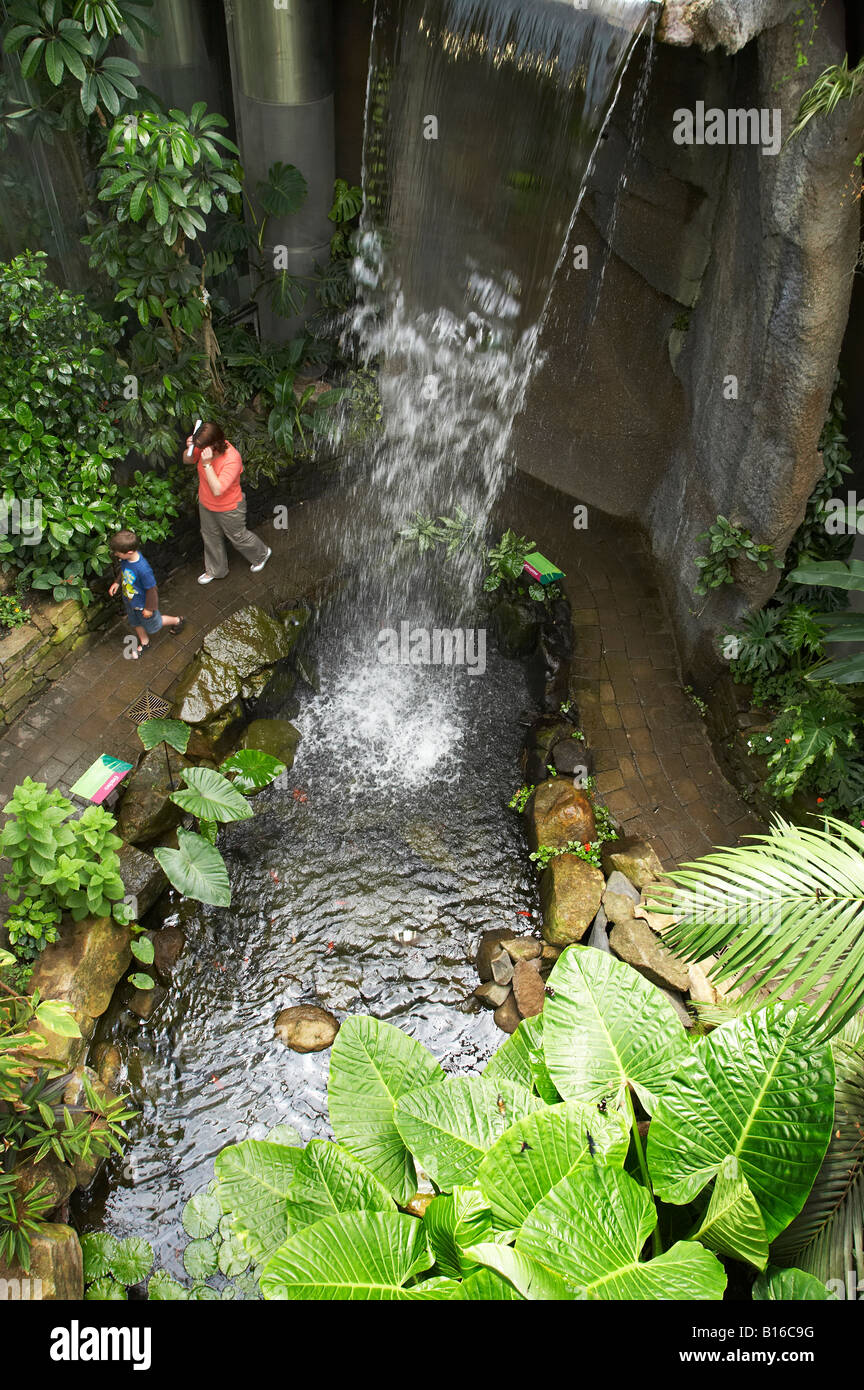 Tropical Butterfly House Otago Museum Dunedin South Island New Zealand