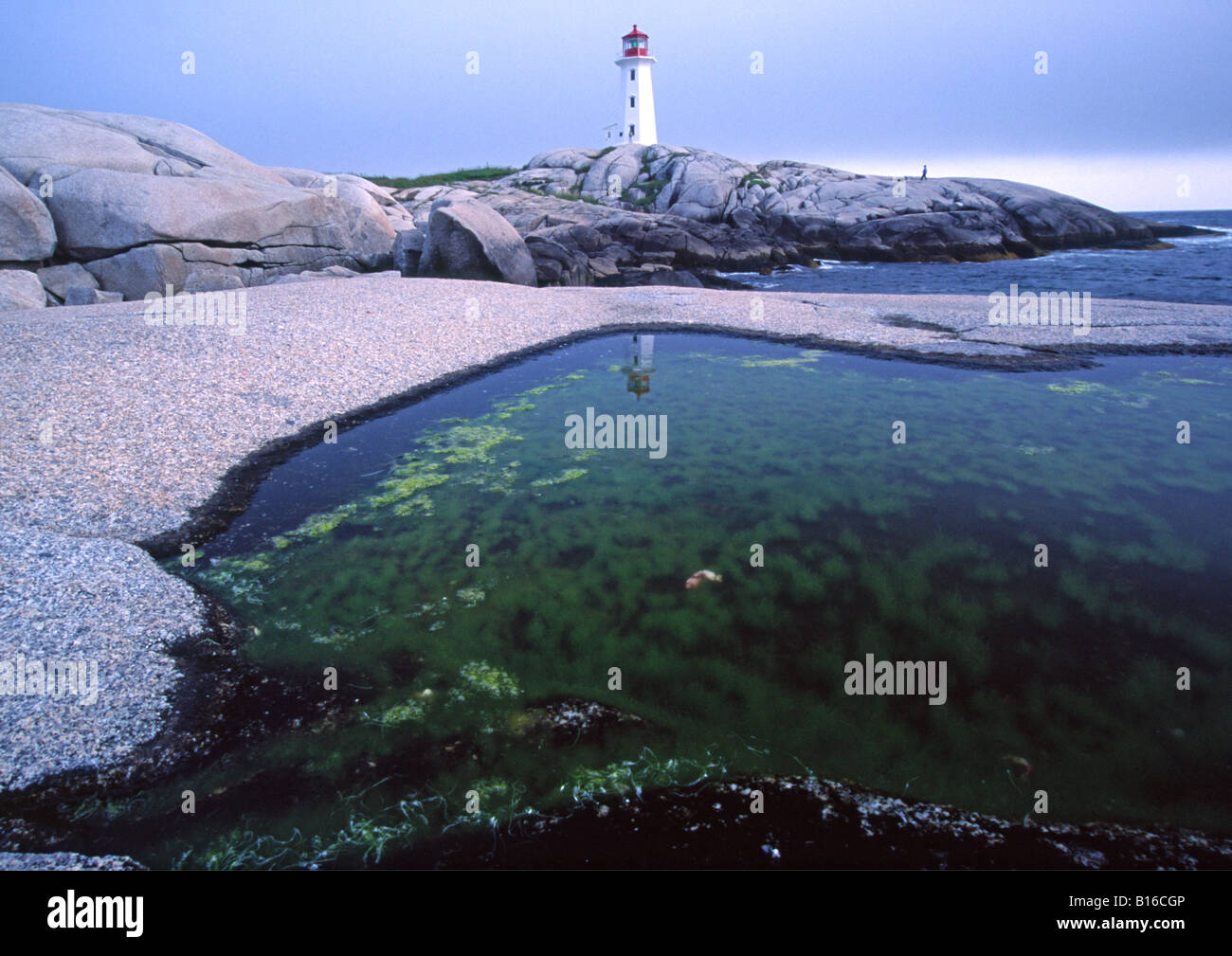 Peggy's Point or Cove lighthouse Nova Scotia Canada and reflecting tide pool Stock Photo Alamy