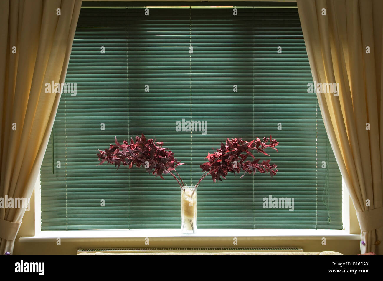 venetian blinds Stock Photo