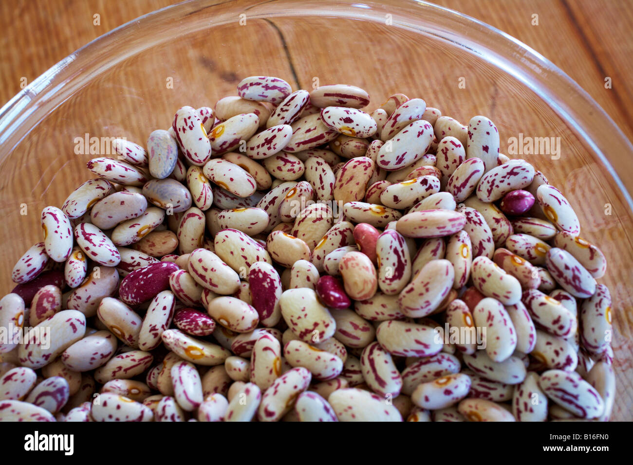 dried borlotti cranberry beans in glass bowl Stock Photo Alamy