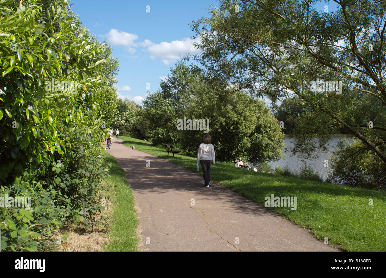 England Surrey Woking Goldsworth Park walking beside a manmade lake