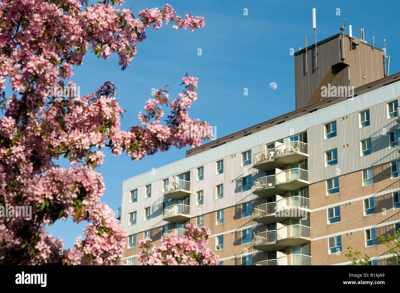 A 12 story private residential apartment building in Kingston, Ontario