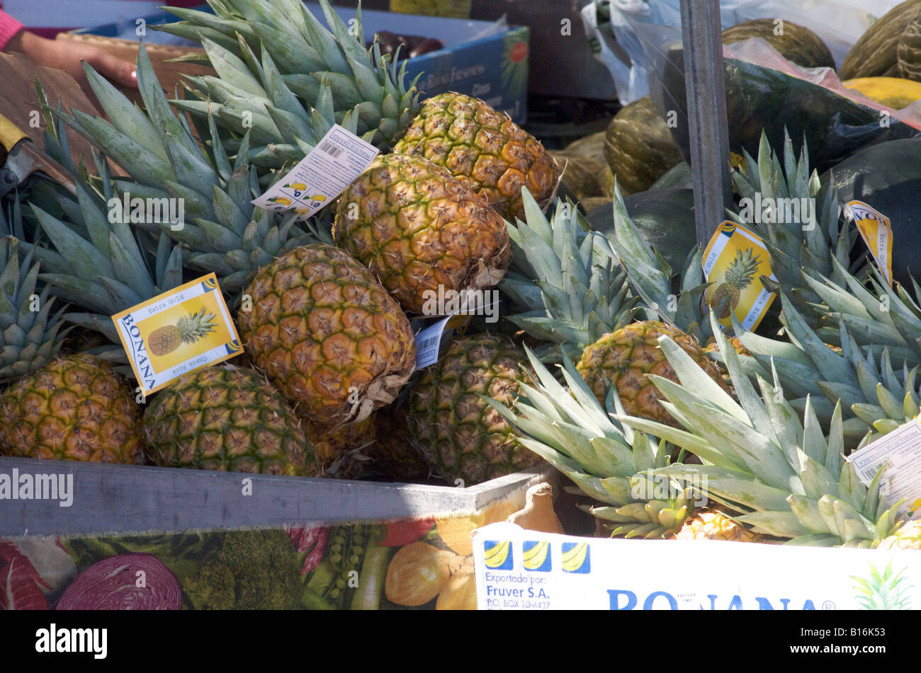 Pineapples for sale hires stock photography and images Alamy
