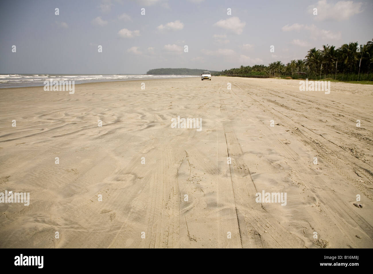 Tyre Tracks On Muzhappilangad Drive In Beach Near To Thalassery In tyre-tracks-on-muzhappilangad-drive-in-beach-near-to-thalassery-in