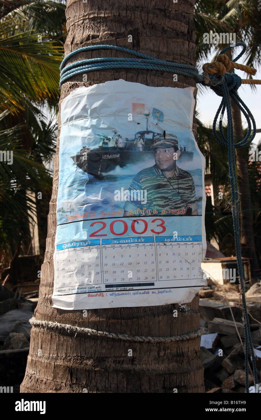 A propaganda poster promoting LTTE leader Prabakaran and Tamil Sea Tigers is nailed to a palm tree on Jaffna Peninsula Sri Lanka Stock Photo