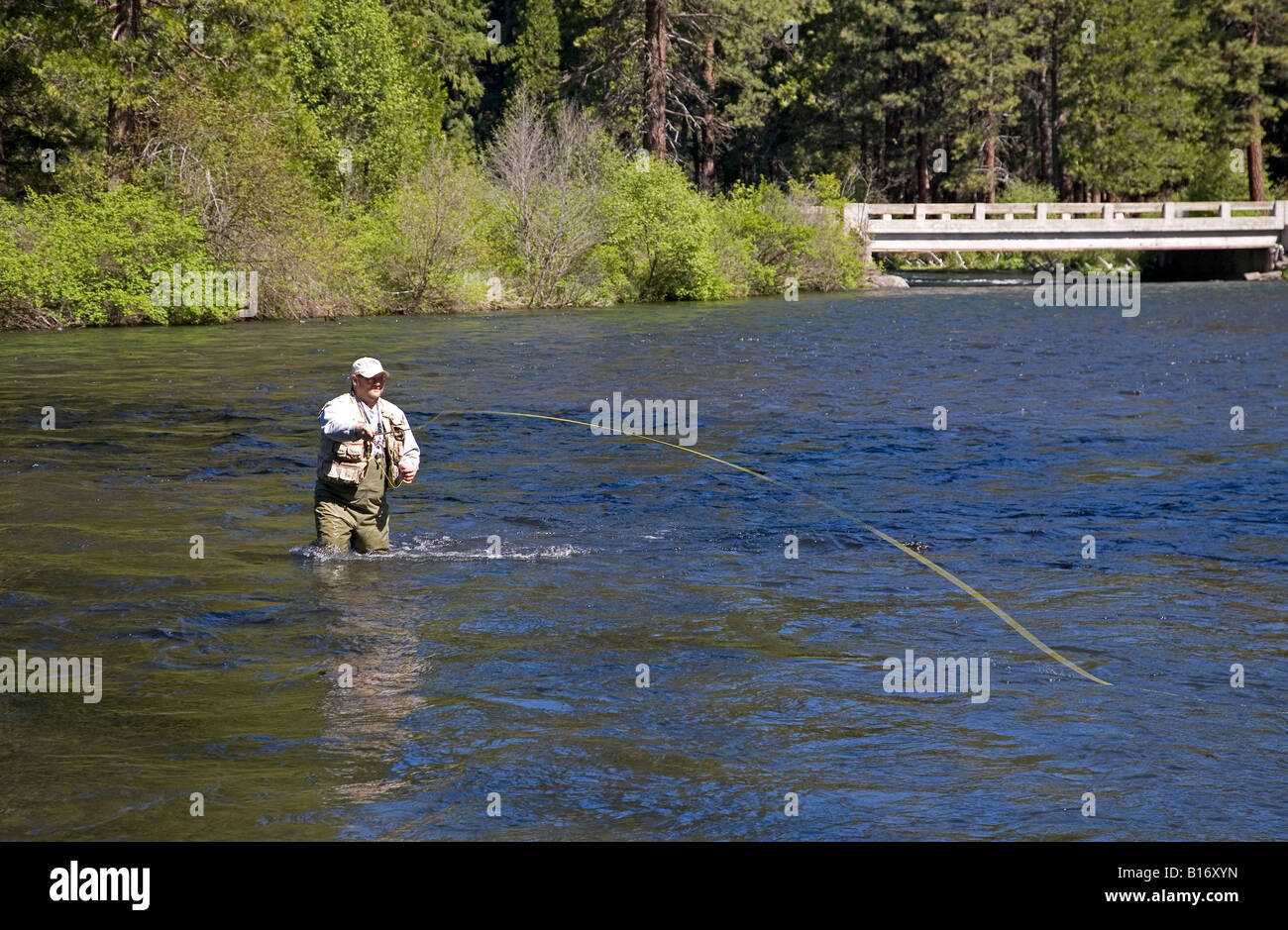 USA OREGON SISTERS A fly fisherman casts an artificial insect for