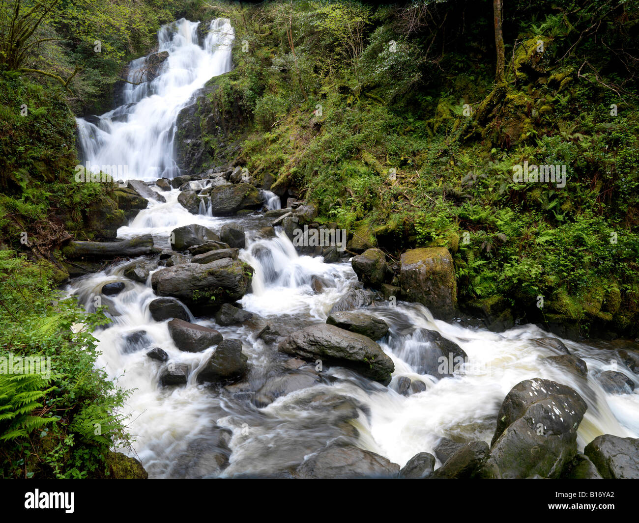 Torc Waterfall, Killarney, Ring of Kerry, Co. Kerry, Ireland Stock