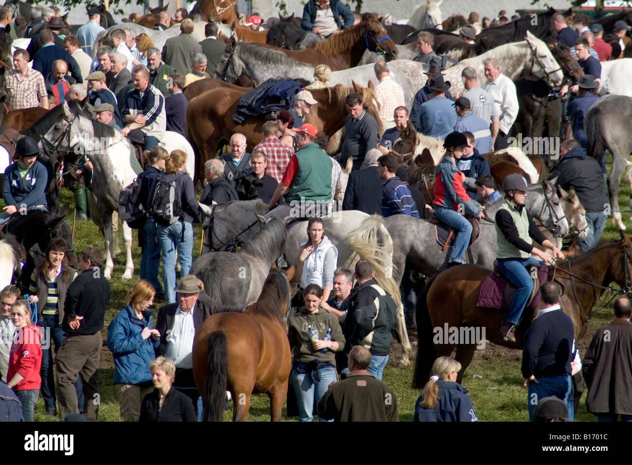 Ballinasloe Horse Fair Galway Ireland Stock Photo