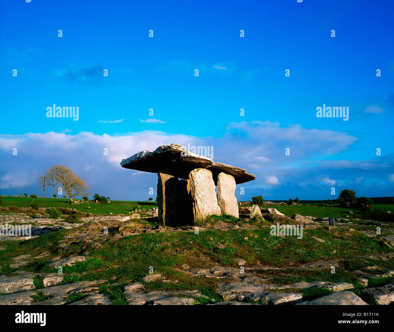 Poulnabrone dolmen, Burren, Co Clare, Ireland Stock Photo