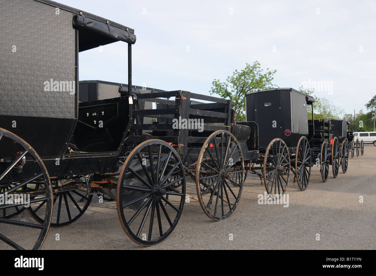 amish horse buggy for sale