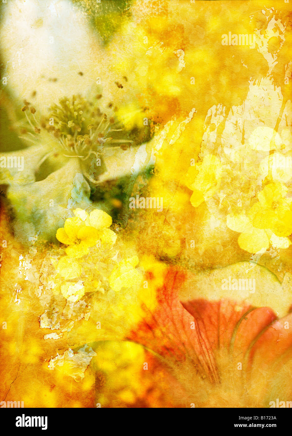 a-natural-dream-stock-photo-alamy