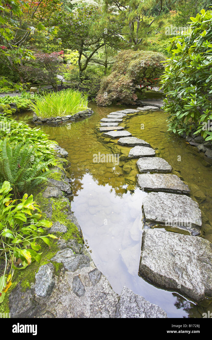 A path from the wet stones laid through a pond in Japanese garden Stock