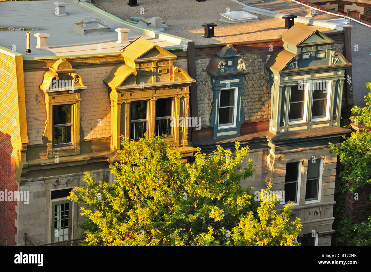 Typical houses Plateau Mont Royal Montreal Canada Stock Photo Alamy