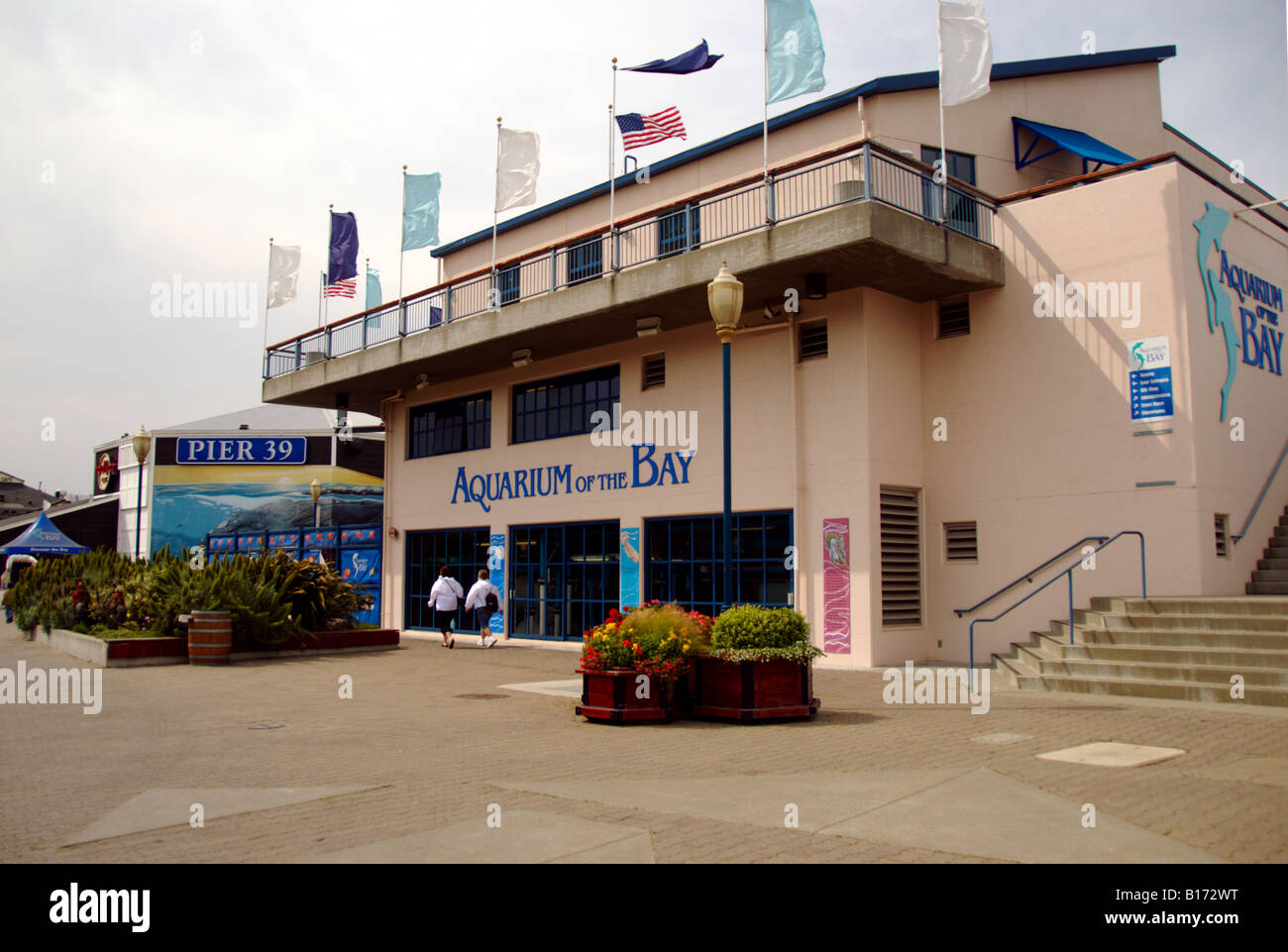 Aquarium, San Francisco, California Stock Photo Alamy