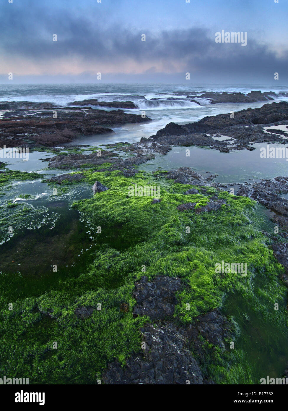 Ocean waves on northern california hi-res stock photography and images ...