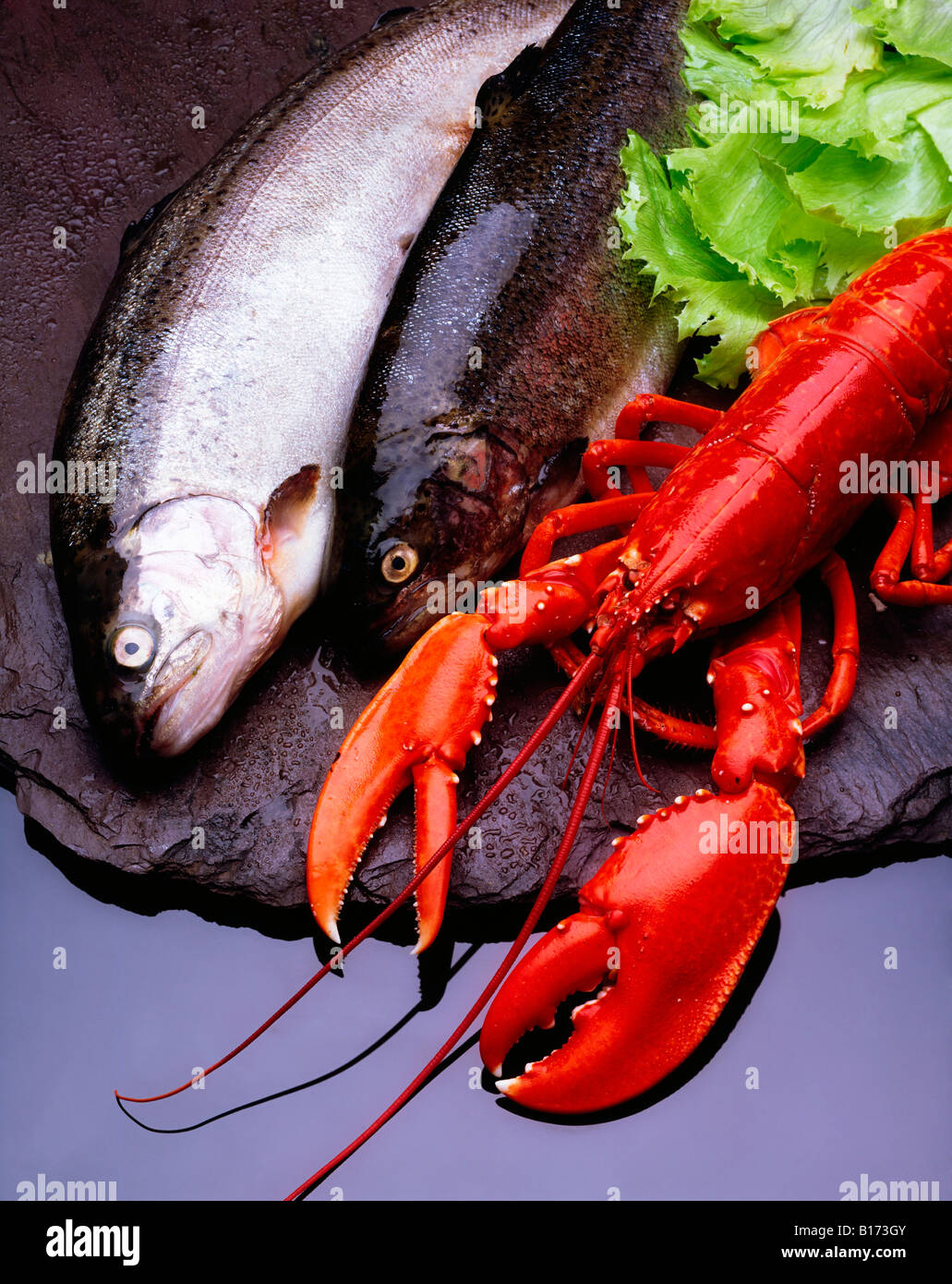 Lobster and Trout Stock Photo