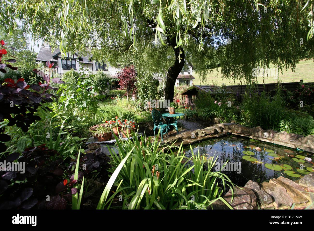 Country cottage garden, with fish pond,in Summer Pentyrch, Cardiff