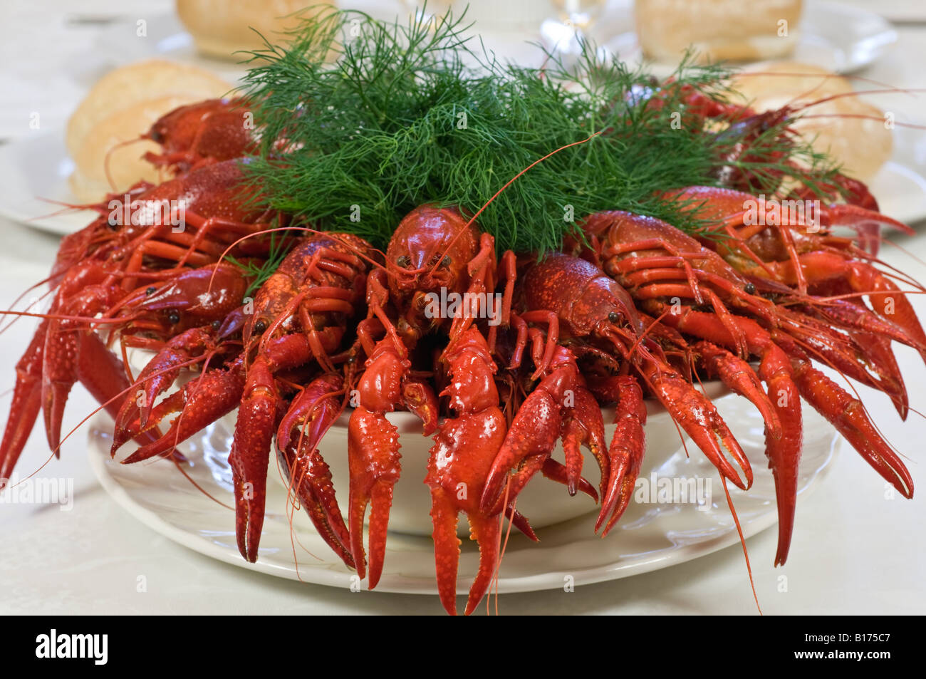 Crayfish dinner Scandinavia Food Stock Photo Alamy