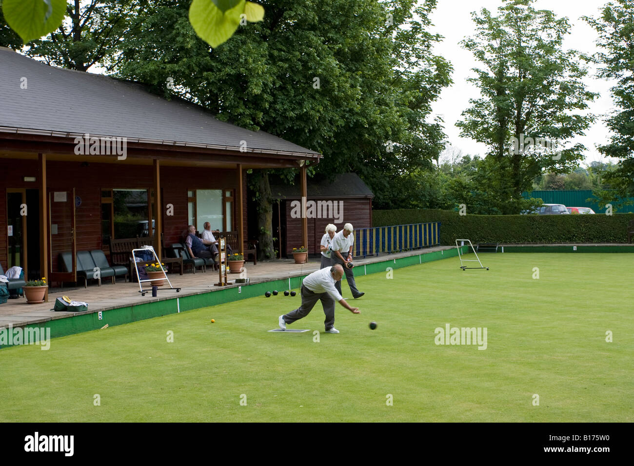 Man playing bowls, Sussex, England UK Stock Photo
