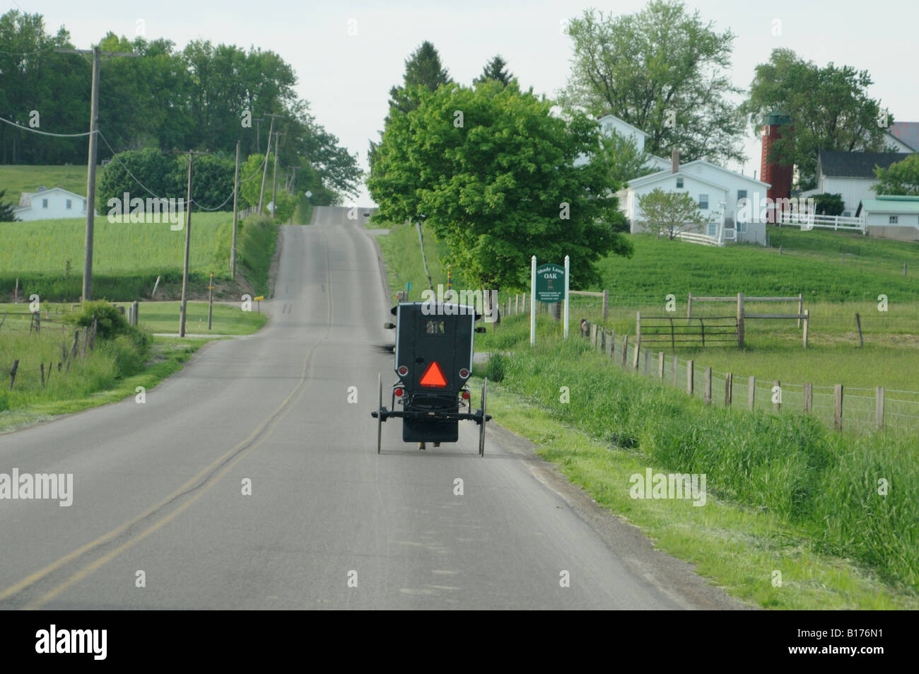Amish buggy in country scene Stock Photo