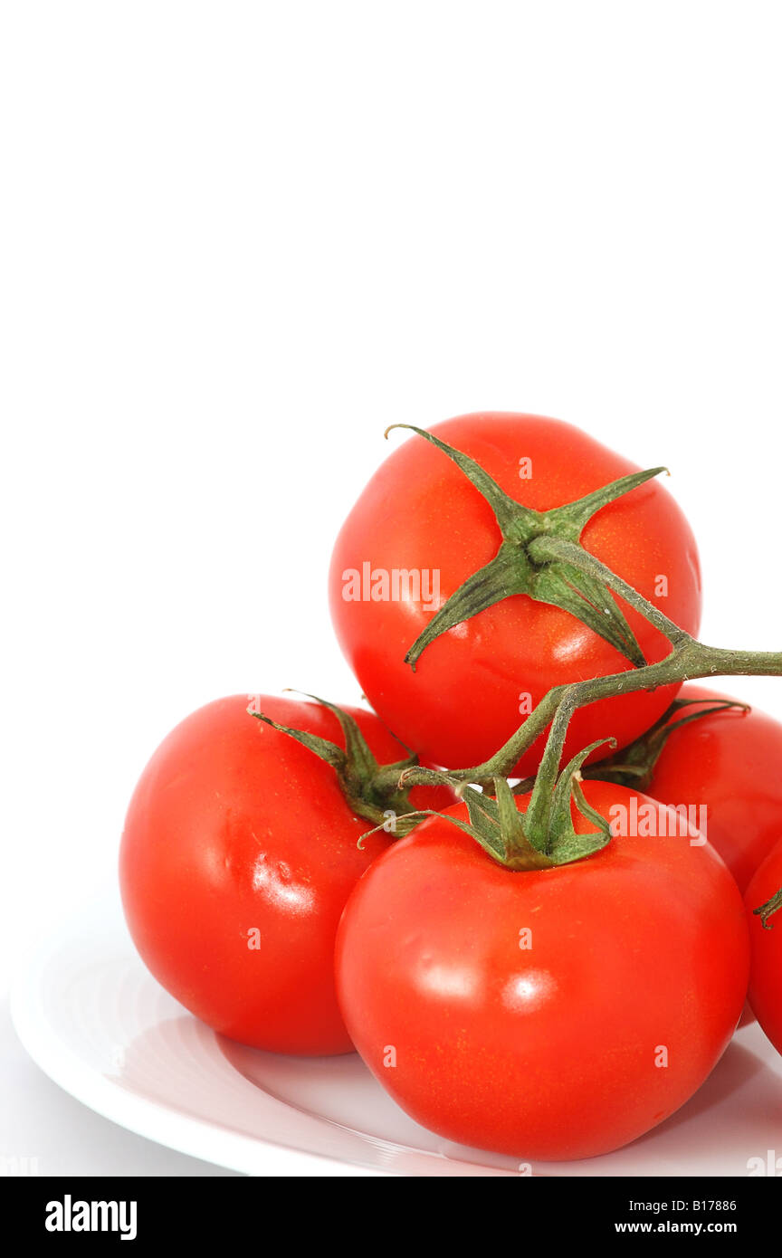 tomato branch isolated on white Stock Photo - Alamy