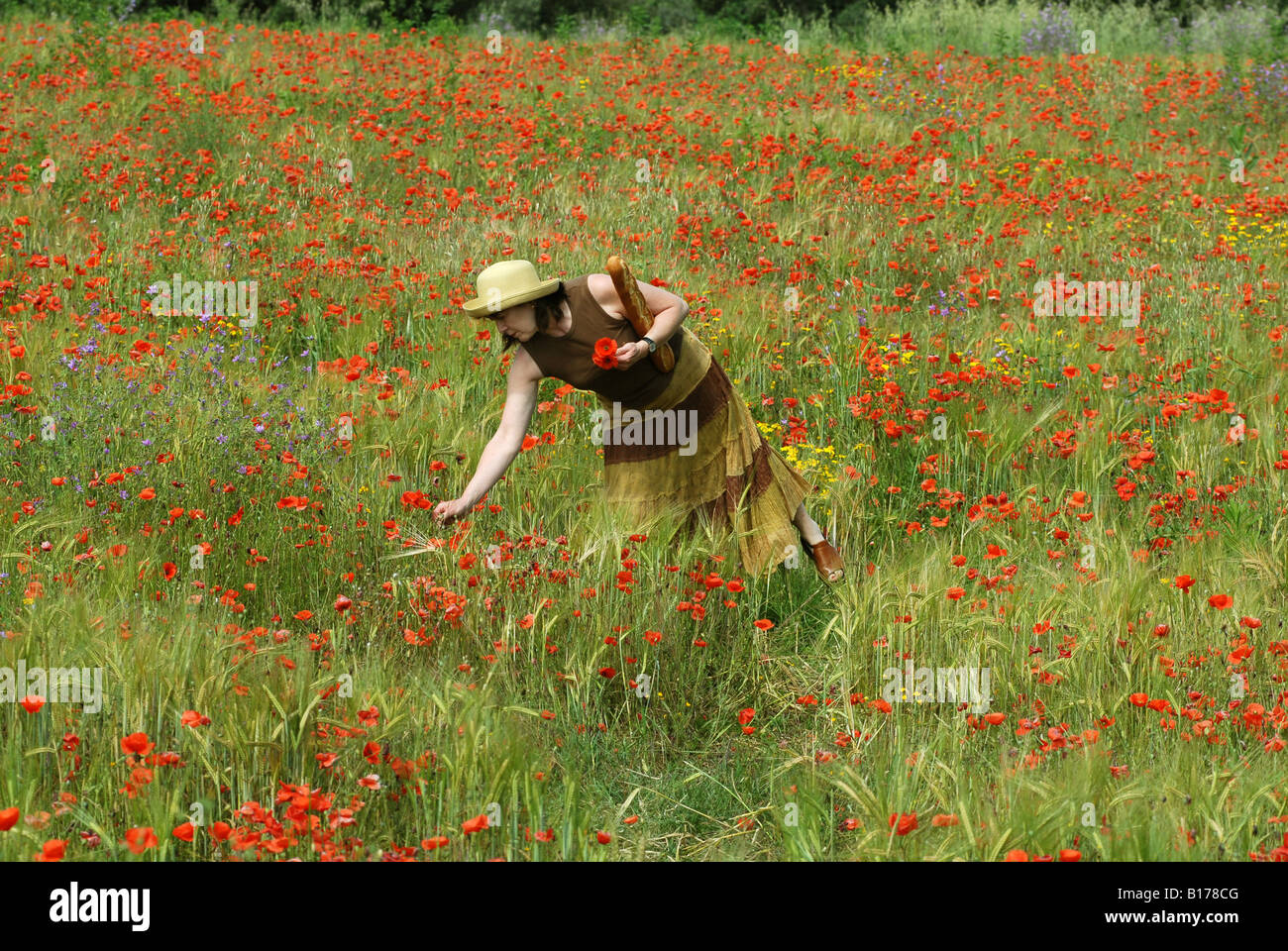 Lady walking through field of wild flowers carrying a baguette Stock Photo