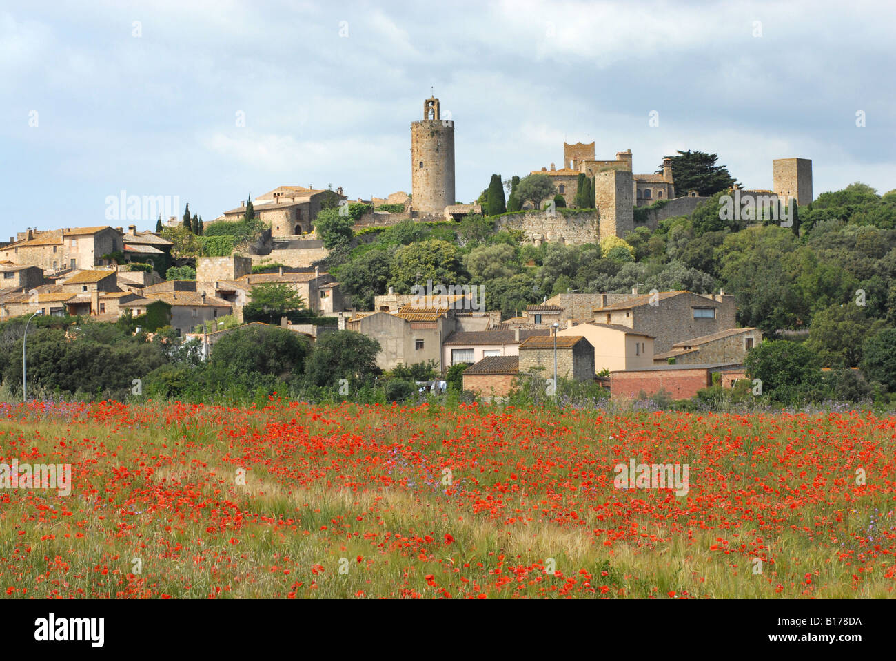Poppy fields at Pals Palafrugell in Spain Stock Photo