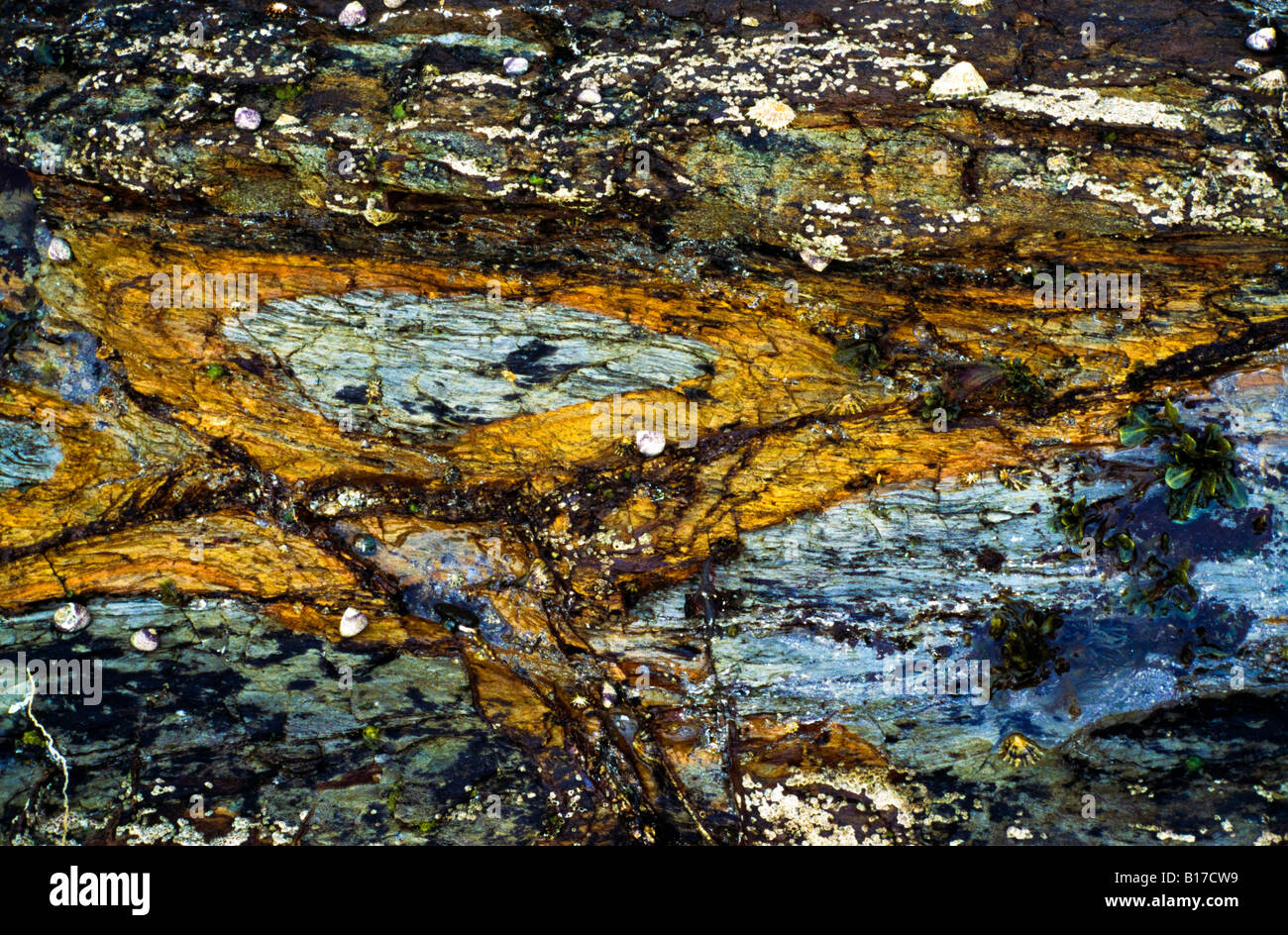 Geologic patterns hi-res stock photography and images - Alamy