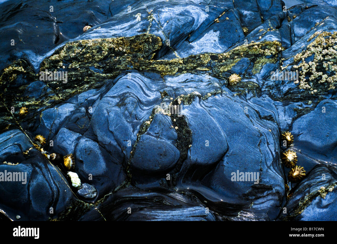 Rock patterns under the water Stock Photo - Alamy