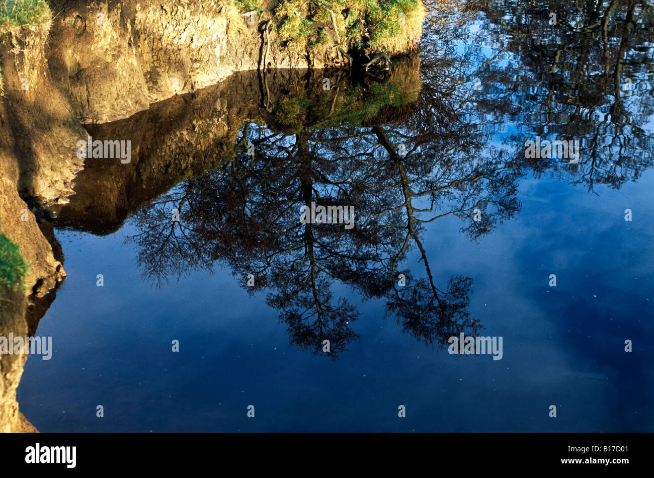 Reflection of trees in the water Stock Photo - Alamy