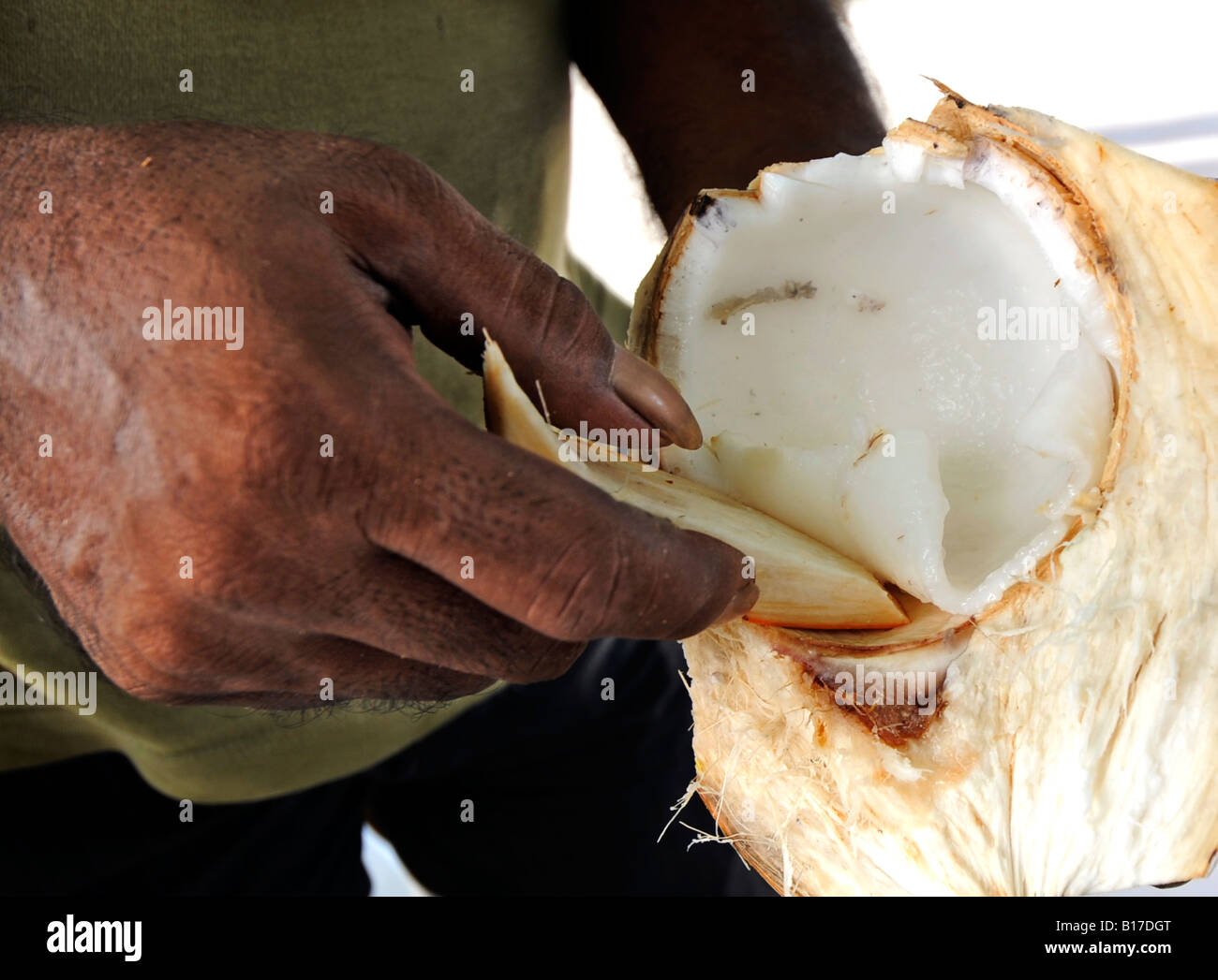 coconut meat Stock Photo