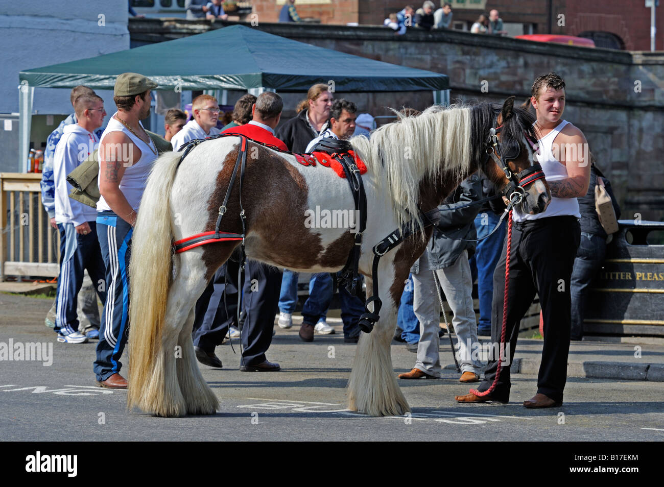Gypsy traveller horse dealers and spectators at Appleby Horse Fair. Appleby-in-Westmorland, Cumbria, England, United Kingdom. Stock Photo