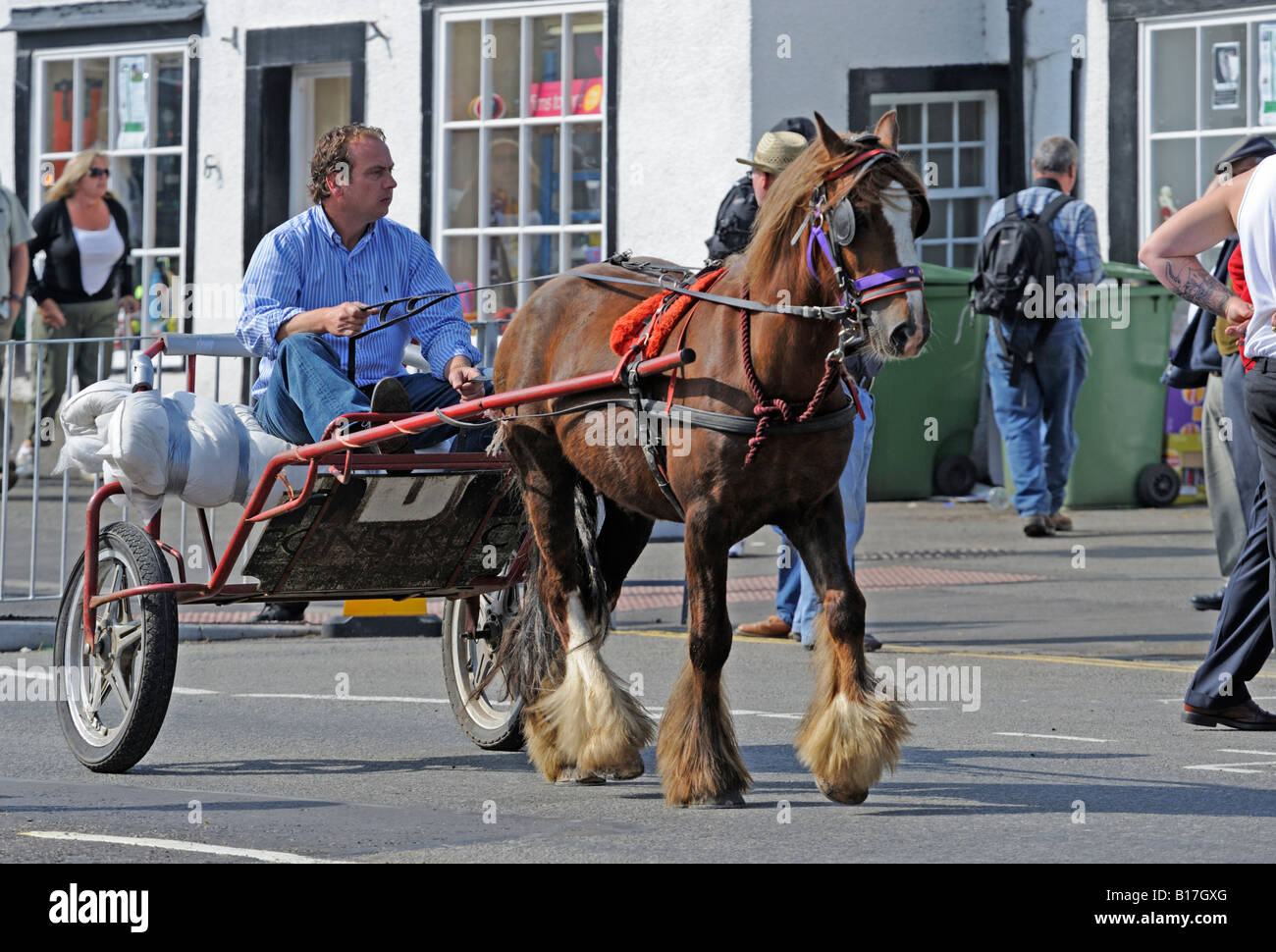 Gypsy traveller with trotting horse and trap. Appleby Horse Fair. Appleby-in-Westmorland, Cumbria, England, United Kingdom. Stock Photo