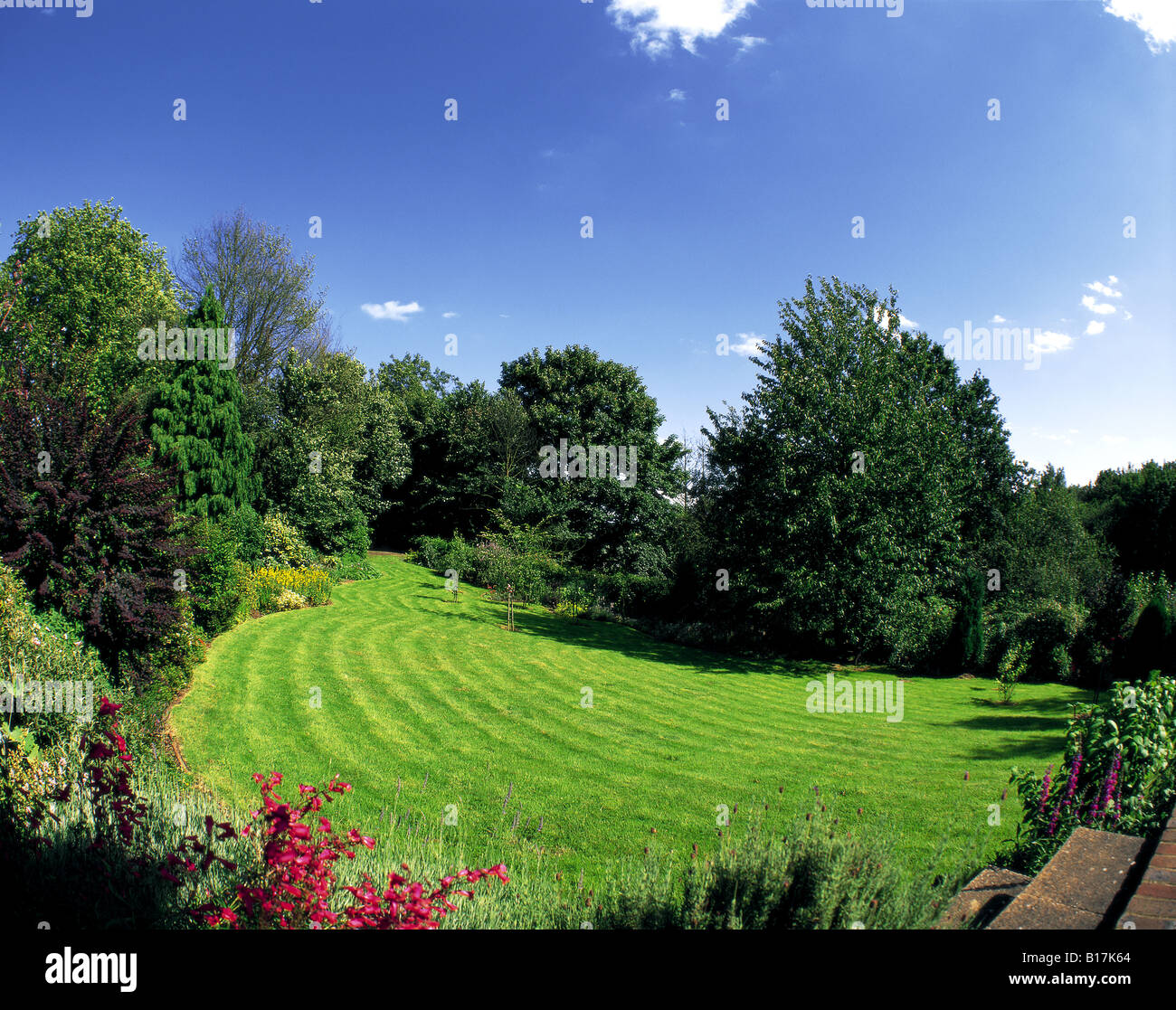 English Garden Redhill Surrey England Stock Photo