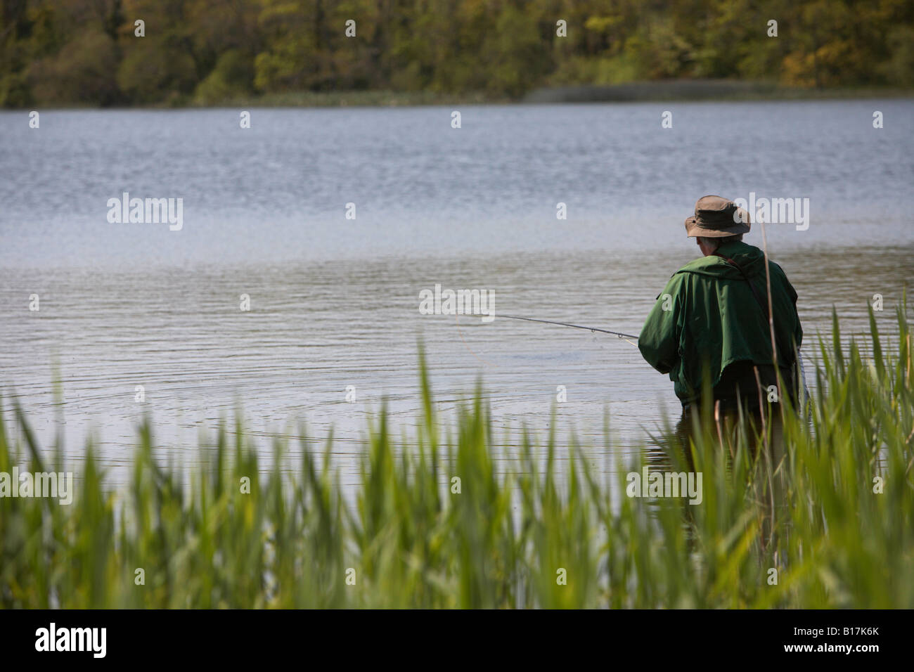 man flyfishing in a lake in county down northern ireland Stock Photo