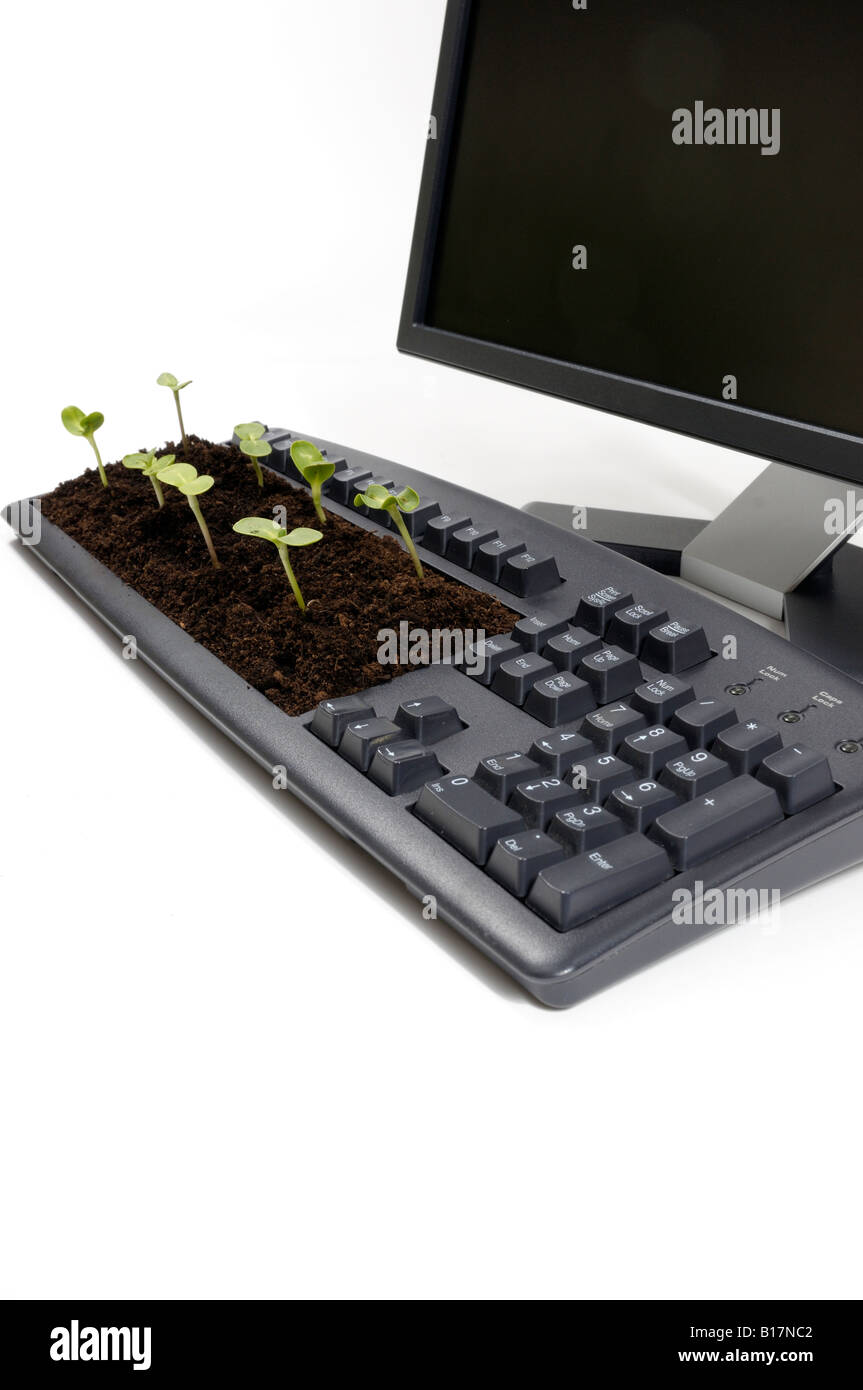 Computer Seeding Desktop computer and screen with seedlings growing out of the keyboard ...