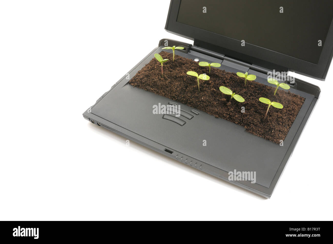Laptop computer with seedlings growing out of the keyboard Stock Photo