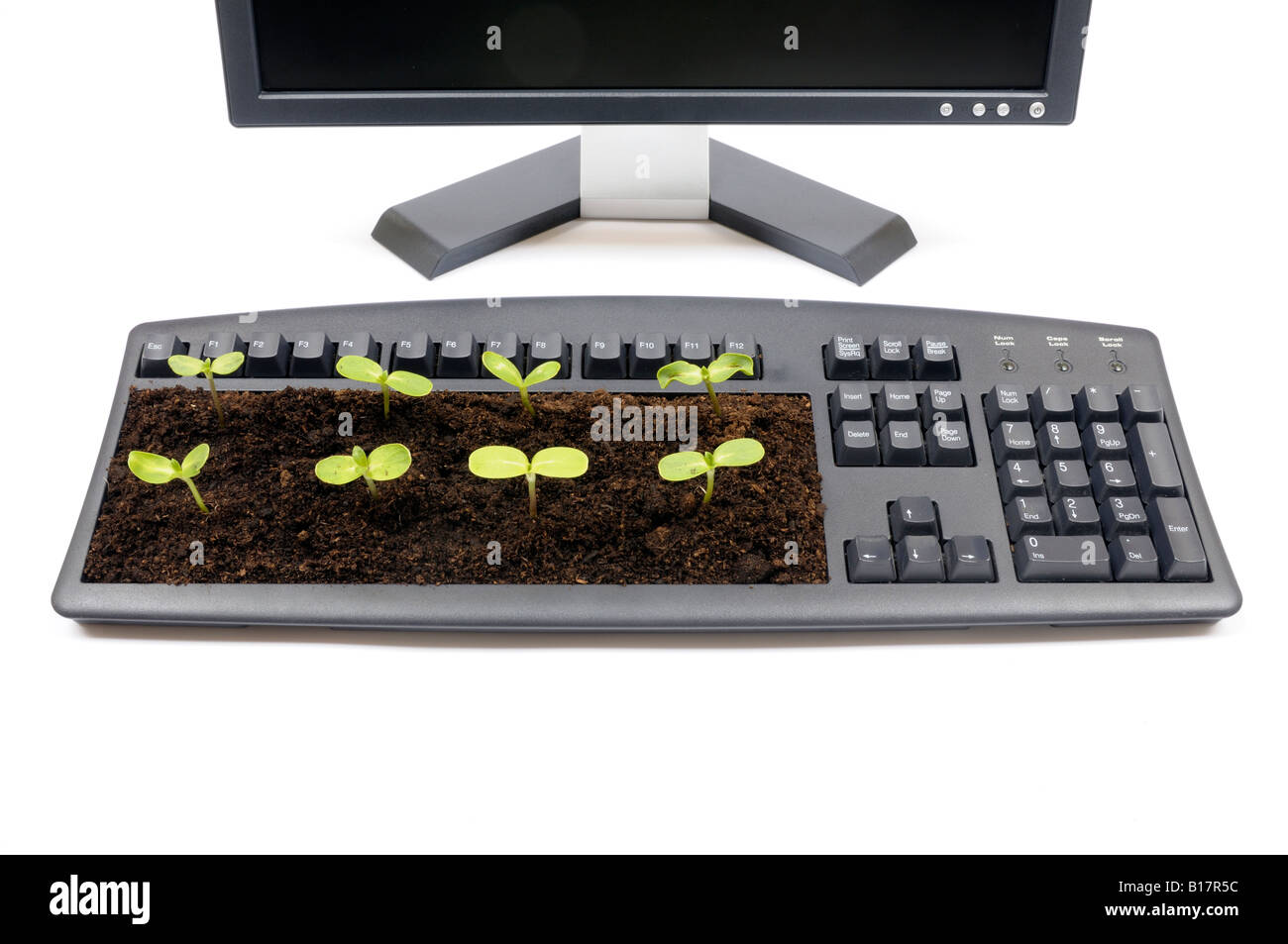 Desktop computer and screen with seedlings growing out of the keyboard Stock Photo