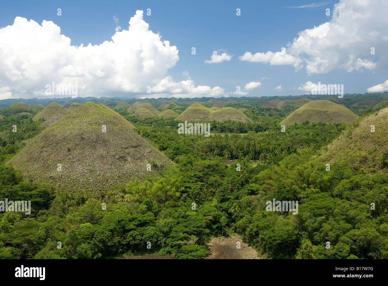 Chocolate Hills National Geological Monument Bohol Philippines Stock