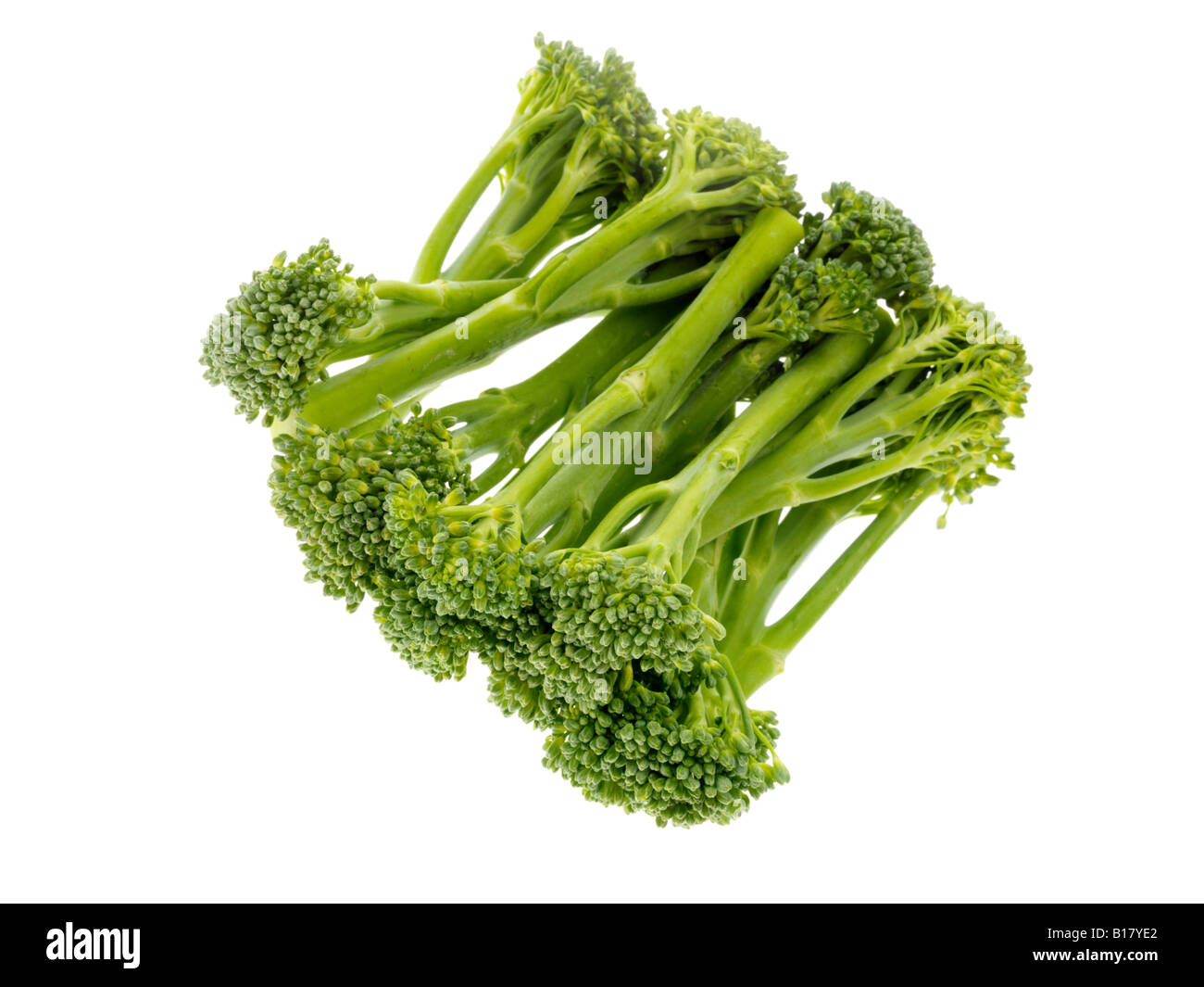 Tenderstem Broccoli Stock Photo Alamy