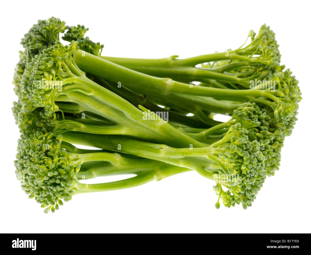 Tenderstem Broccoli Stock Photo Alamy