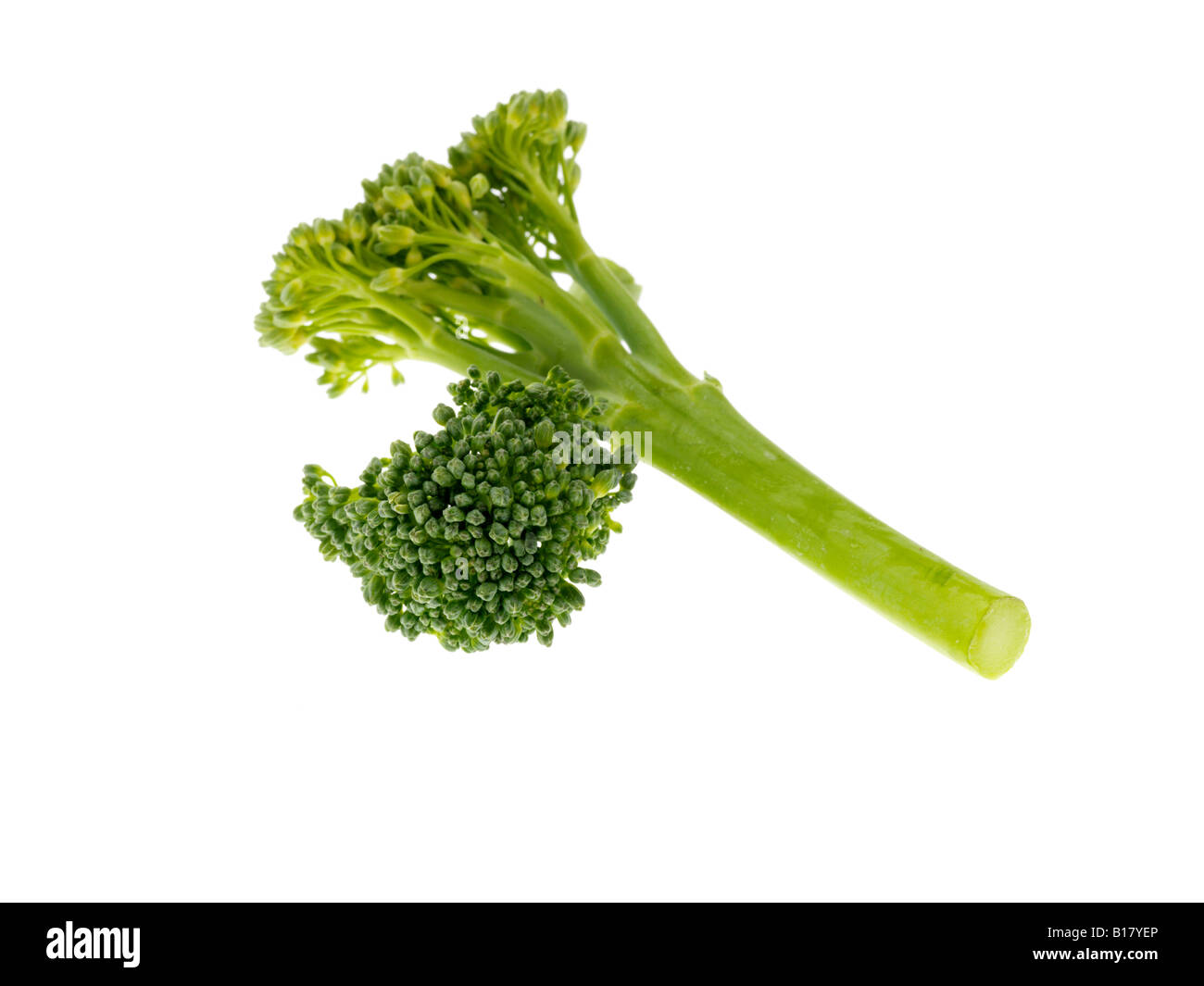 Broccoli tenderstem hires stock photography and images Alamy