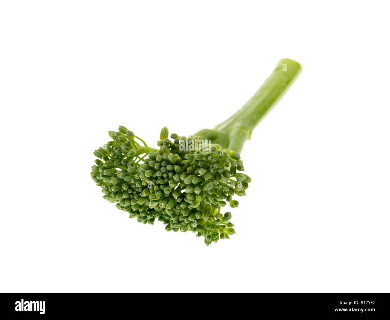 Broccoli tenderstem hires stock photography and images Alamy