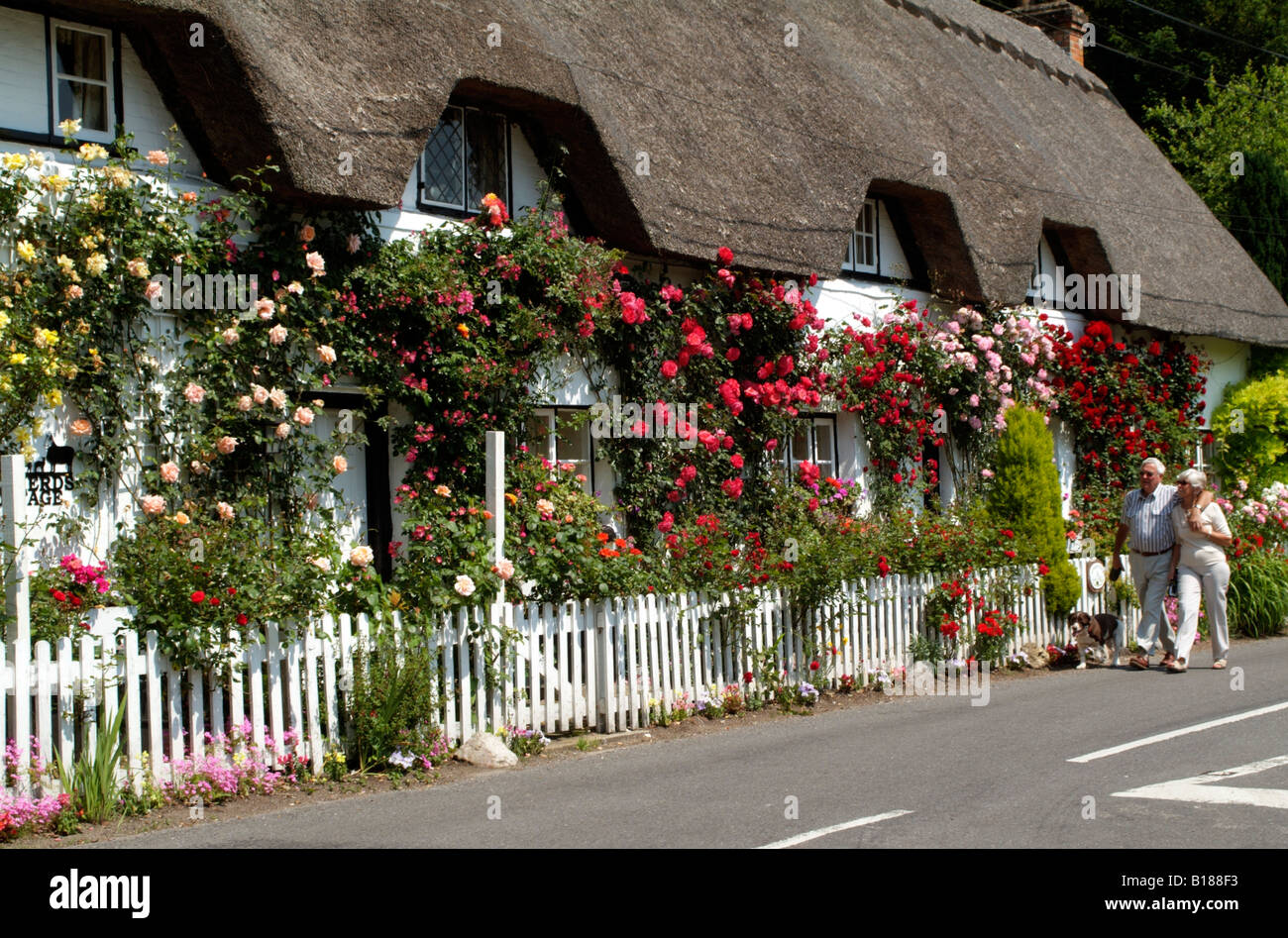 English country thatched cottage and roses in Hampshire England UK Elderly couple with their dog walking by Stock Photo