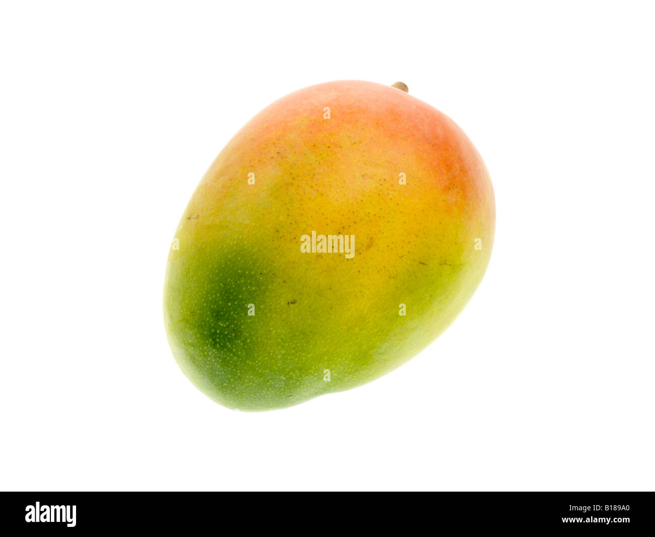 Fresh Healthy Ripe Tropical Mango Fruit Isolated Against A White ...
