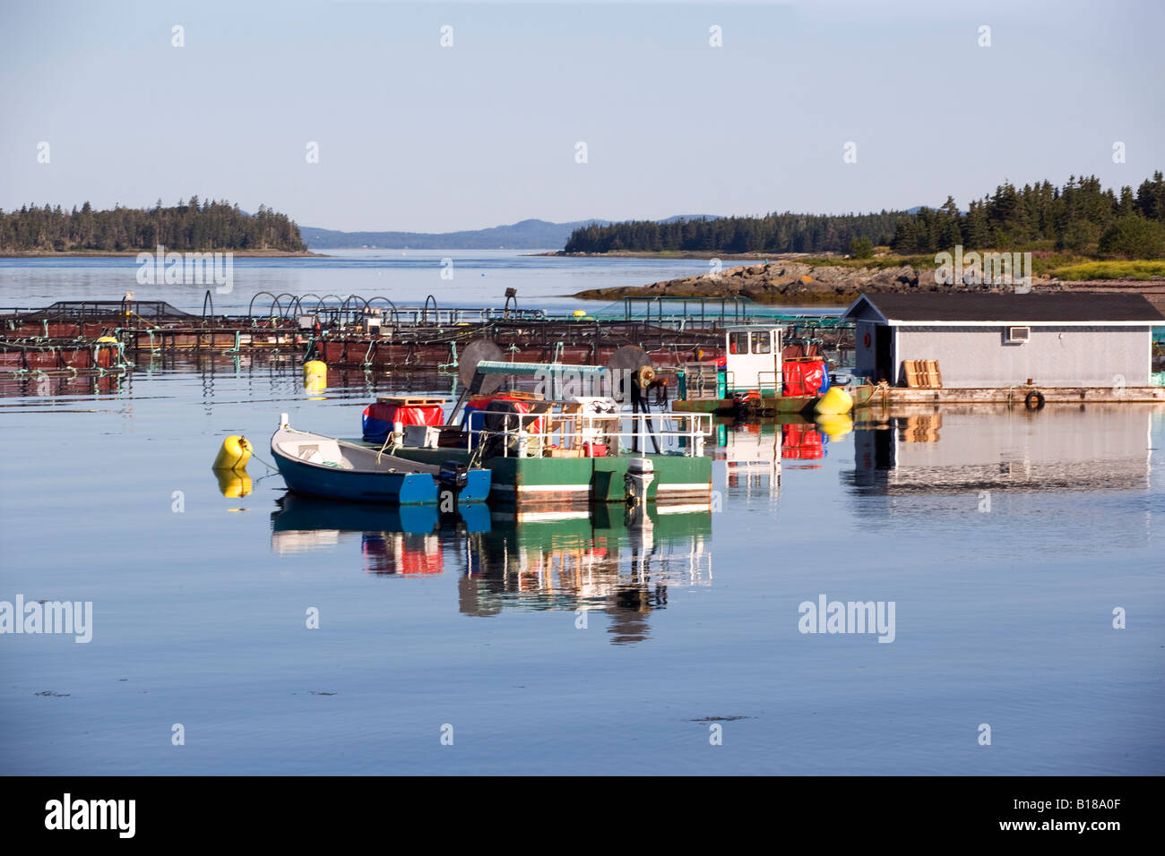 Salmon, Aquaculture, holding tanks, Green Point, New Brunswick, Canada