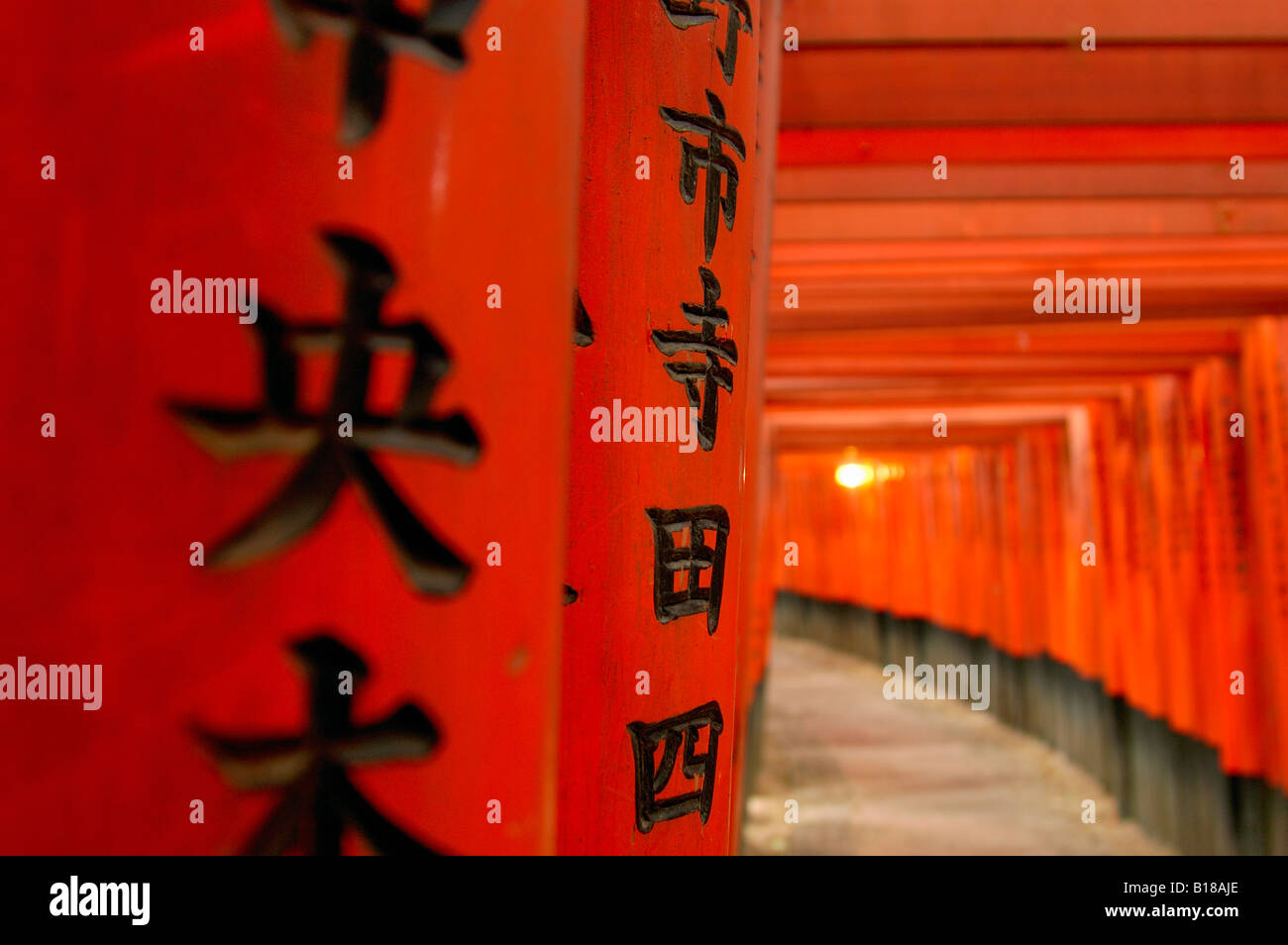 Torii gates Fushimi Inari Taisha Shrine Kyoto Honshu Japan Stock Photo ...