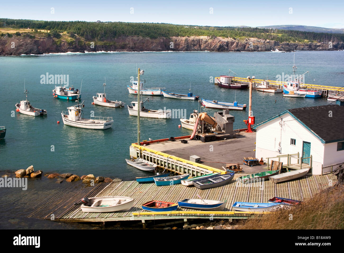 Ochre Pit Cove, Newfoundland, Canada, Harbour, Fishing boats