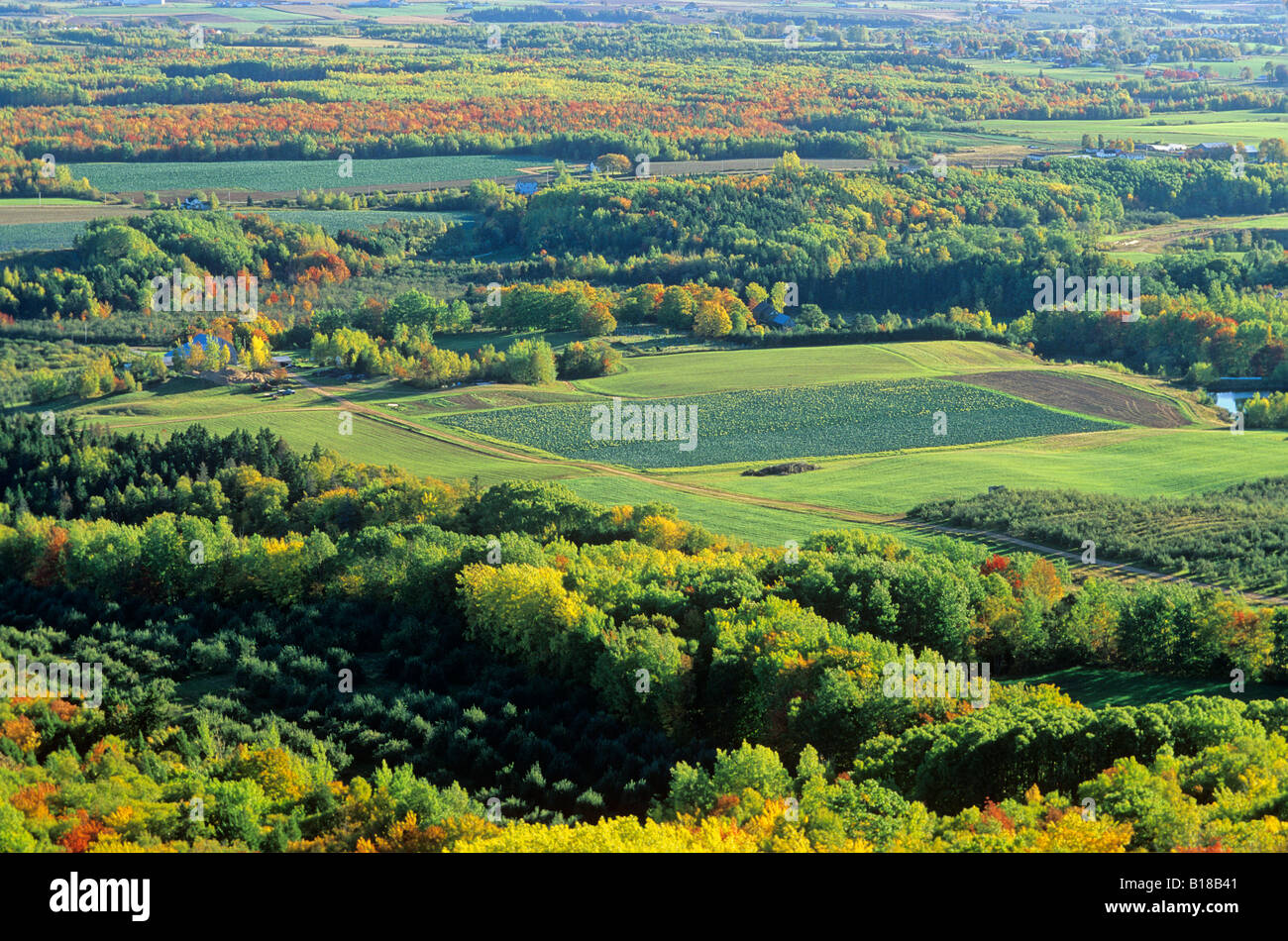 Aerial, Farms, Blomidon, Nova Scotia, Canada, Annapolis Valley, Fall