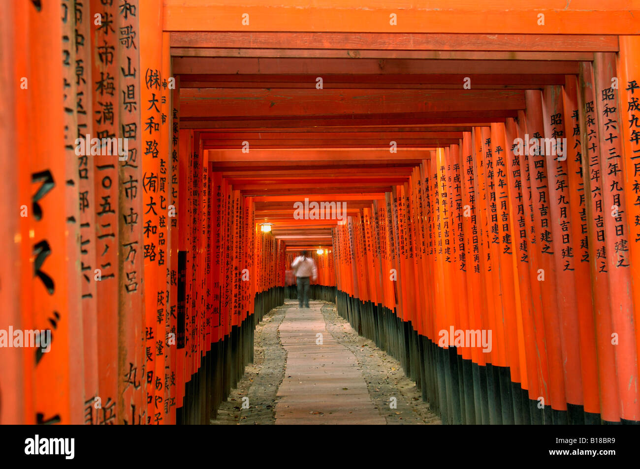 Torii gates Fushimi Inari Taisha Shrine Kyoto Honshu Japan Stock Photo ...